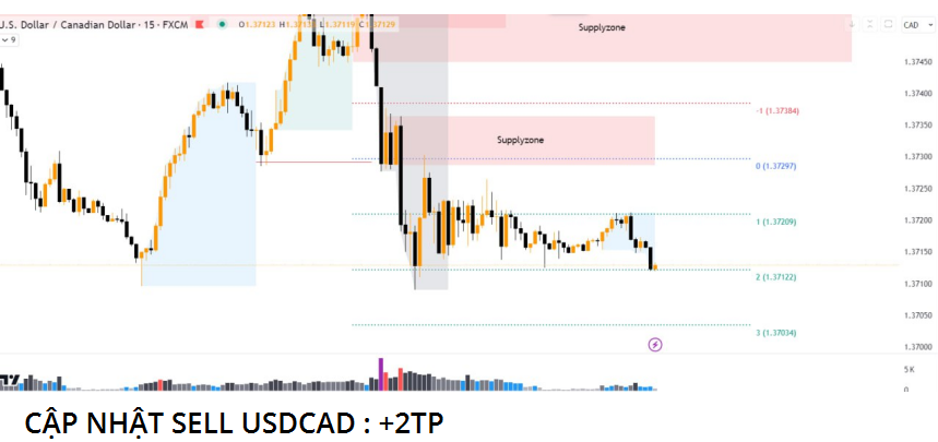 chart-1